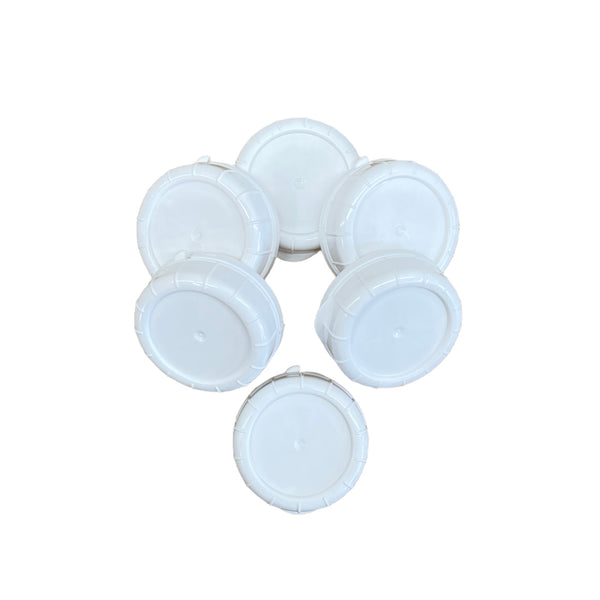 64-Oz Glass Milk Bottle with Lid - Hastingsville