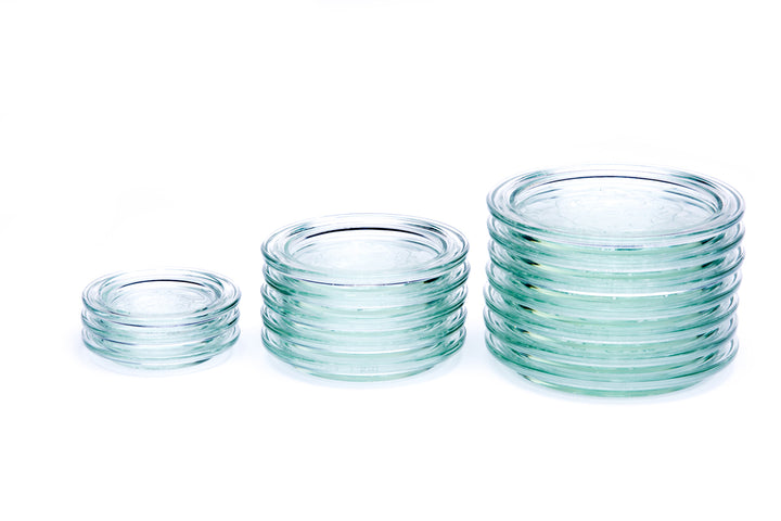 Weck Glass Lids - Hastingsville